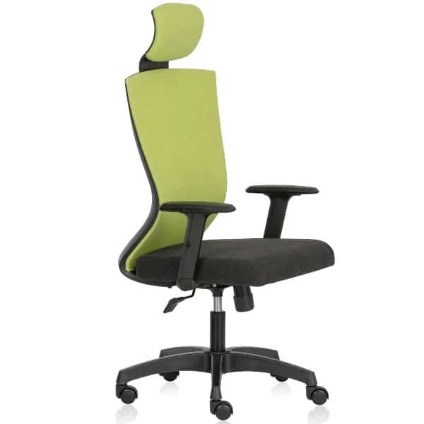 Dealer, Supplier and Manufacturer of Ergonomic Chairs, Ergonomic Mesh
