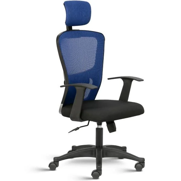 Dealer, Supplier and Manufacturer of Ergonomic Chairs, Ergonomic Mesh