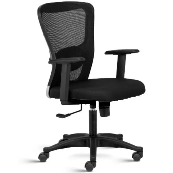 Dealer, Supplier and Manufacturer of Ergonomic Chairs, Ergonomic Mesh