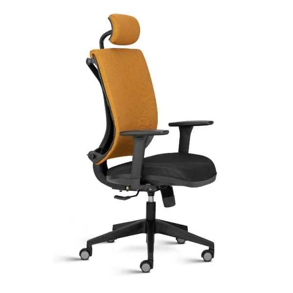 Dealer, Supplier and Manufacturer of Ergonomic Chairs, Ergonomic Mesh