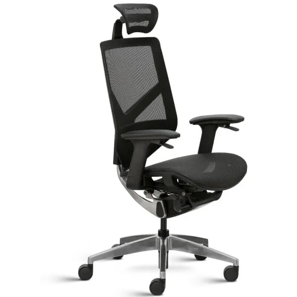Dealer, Supplier and Manufacturer of Ergonomic Chairs, Ergonomic Mesh
