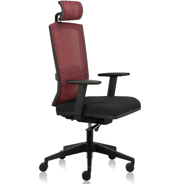 Dealer, Supplier and Manufacturer of Ergonomic Chairs, Ergonomic Mesh